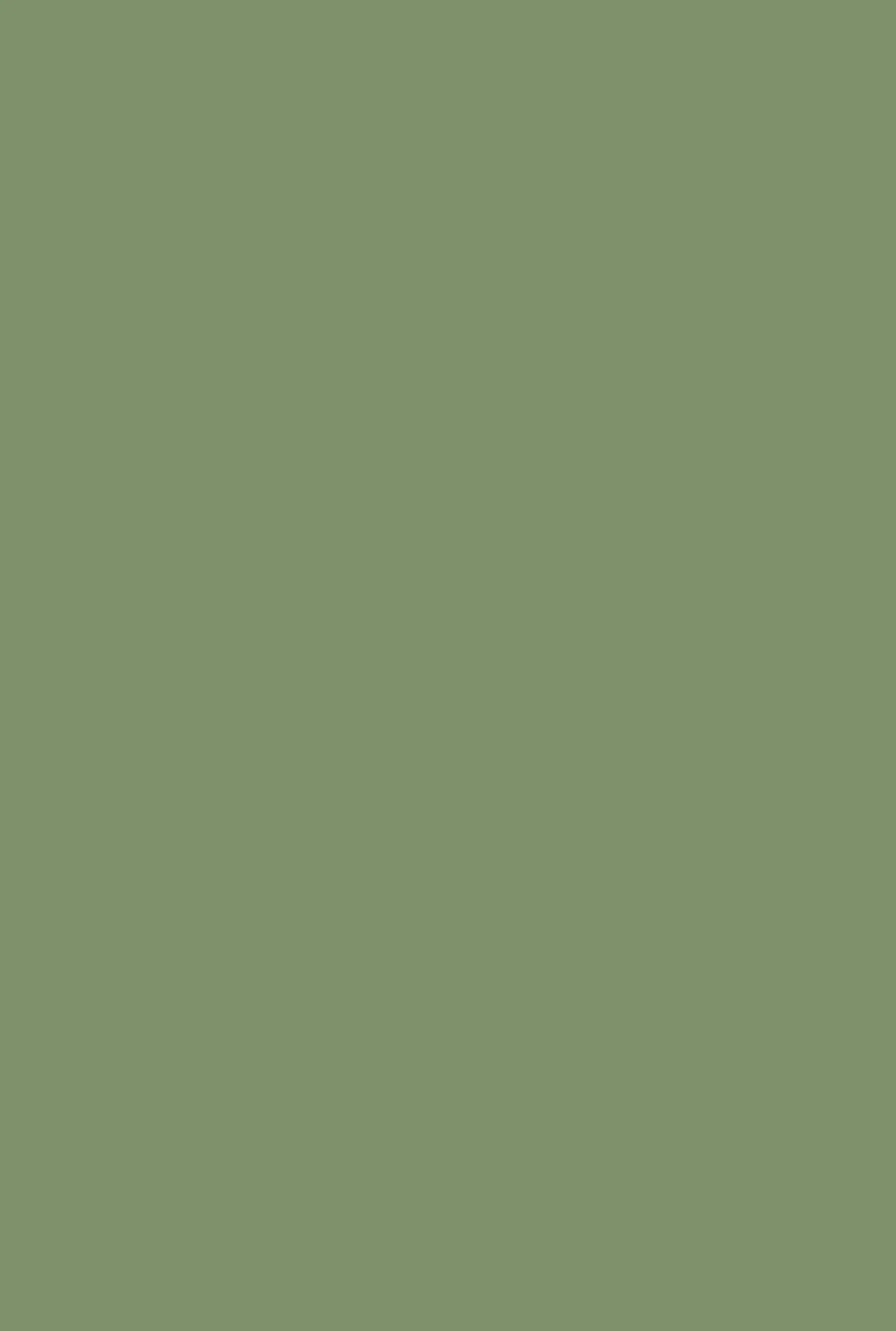 Almost Famous Camouflage Wide Leg Cargo Pants