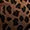 Leopard Hi-Low Empress Dress