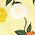 Marigold Medley Swing Dress