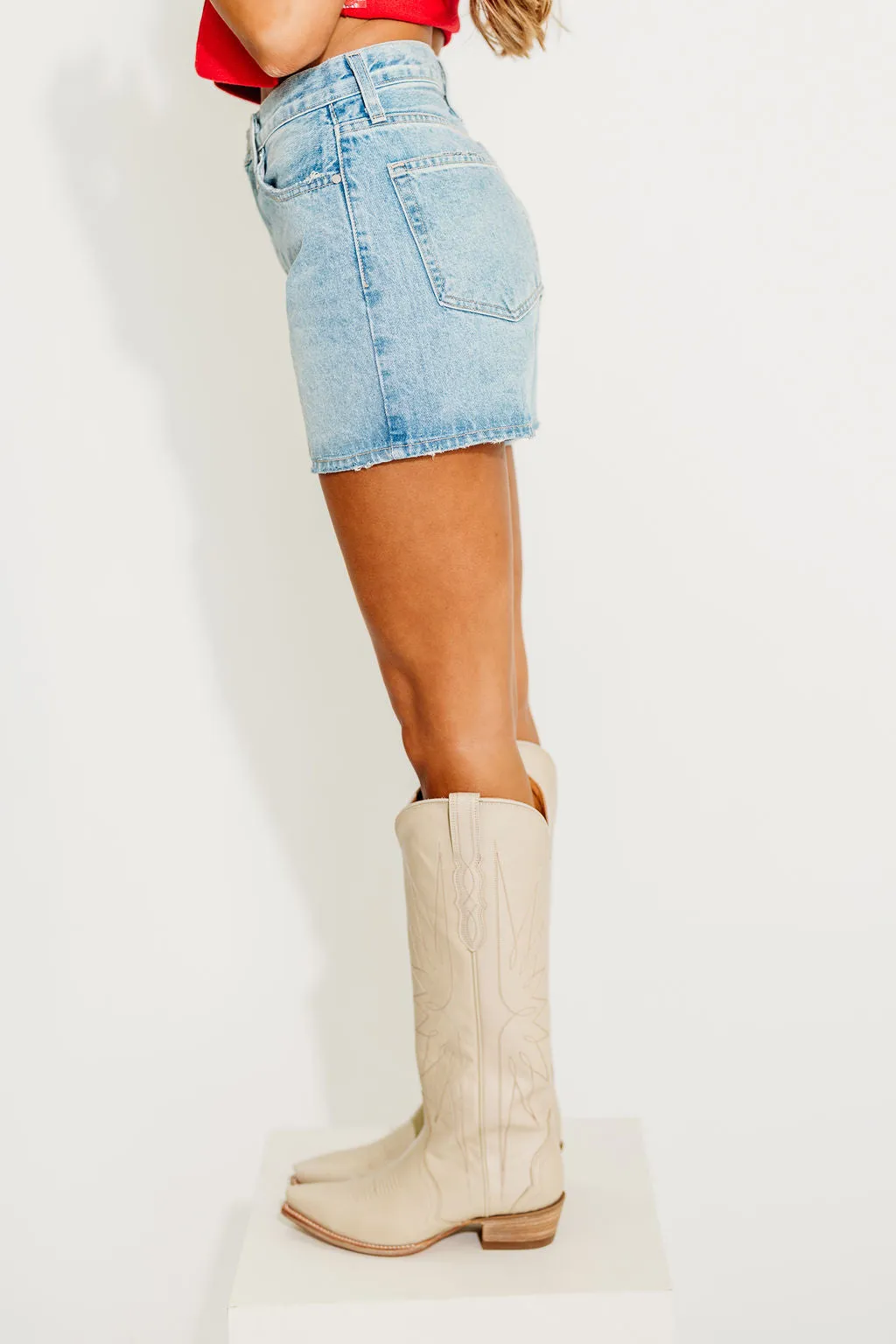 Rayna Vintage High Rise Shorts in Light Denim
